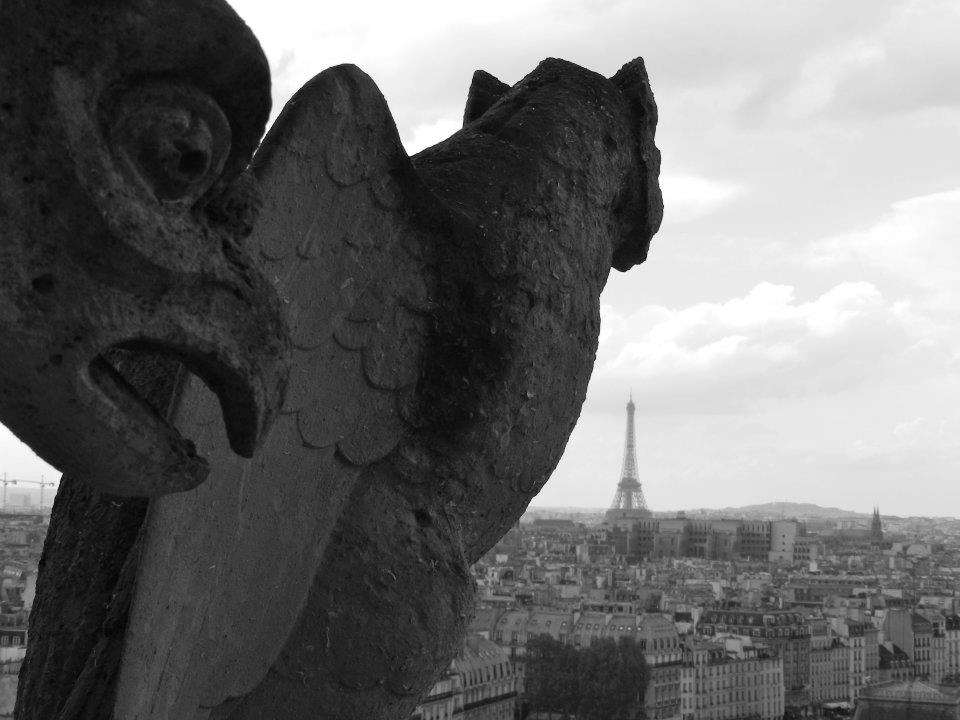 'A Gargoyle's View' in Paris, France by Amanda Fendrick, 